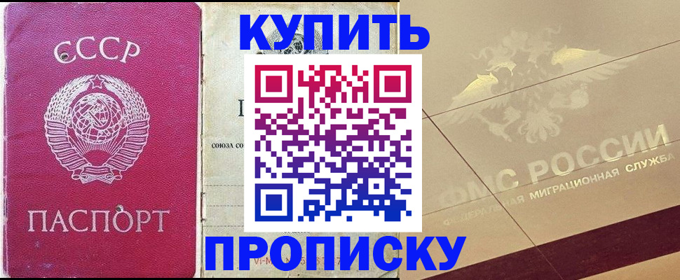 прописка для школы в Камышлове